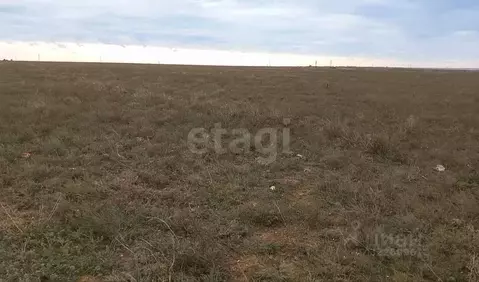 Участок в Крым, Сакский район, Молочненское с/пос, с. Витино  (10.0 ...