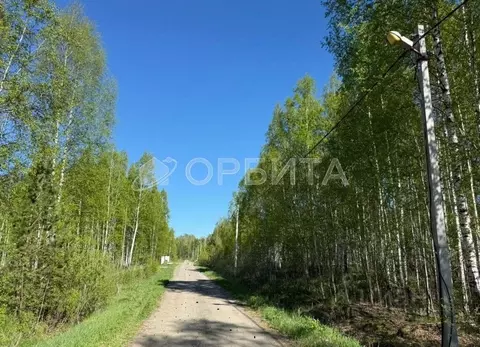 Участок в Тюменская область, Нижнетавдинский район, Березка СНТ  (8.0 ...