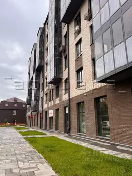 Помещение свободного назначения в Красноярский край, Красноярск ул. ...