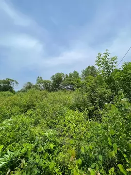 Участок в Приморский край, Уссурийский городской округ, с. Глуховка ...