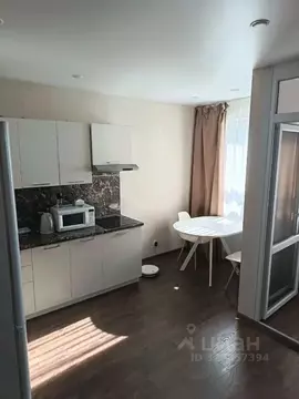 Студия Татарстан, Казань ул. Умырзая, 12 (26.0 м)