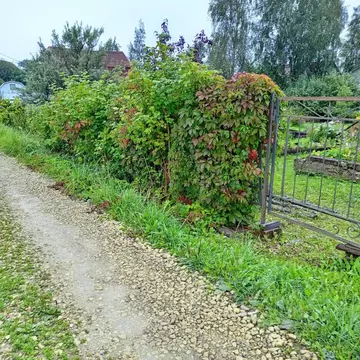Дом в Ленинградская область, Ломоносовский район, д. Гостилицы, ...