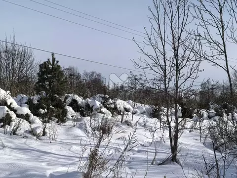 Участок в Ленинградская область, Лужский район, пос. Серебрянский ул. ...