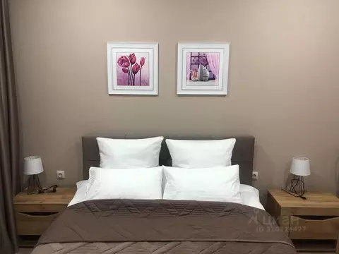 Комната Оренбургская область, Оренбург ул. Островского, 5 (12.0 м)