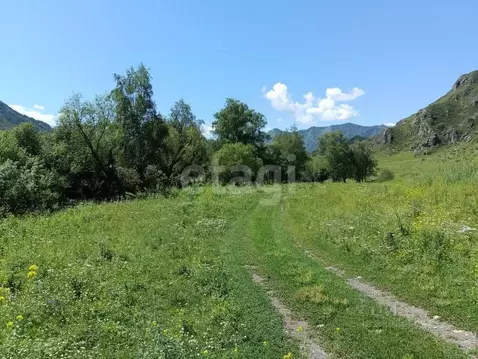 Участок в Алтай, Чемальский район, с. Эдиган ул. Подгорная (65.0 сот.)