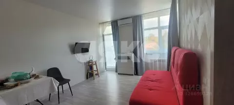 1-к кв. Краснодарский край, Сочи городской округ, Дагомыс пгт ул. ...