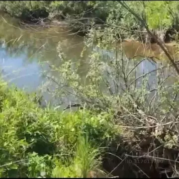 Участок в Татарстан, Пестречинский район, Богородское с/пос, с. ...