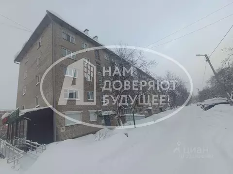 1-к кв. Пермский край, Добрянка ул. Копылова, 57 (30.1 м)