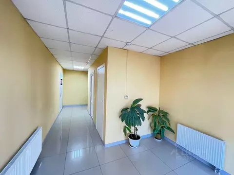 Торговая площадь в Краснодарский край, Краснодар Пашковский жилмассив, ...