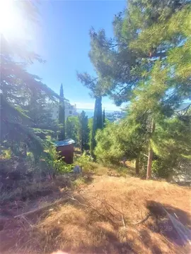 Участок в Крым, Ялта ул. Войкова, 26 (9.0 сот.)