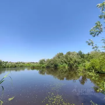 Участок в Калининградская область, Гурьевский муниципальный округ, ...