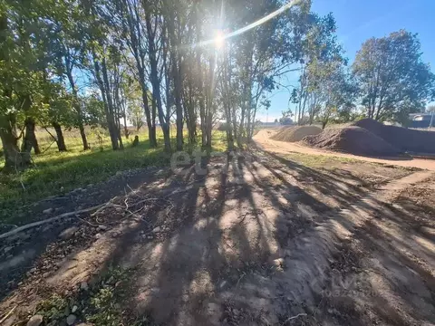 Участок в Ленинградская область, Ломоносовский район, Оржицкое с/пос, ...