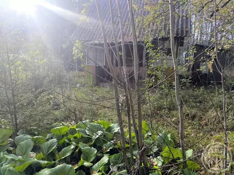 Участок в Ленинградская область, Выборгский район, Рощинское городское ...