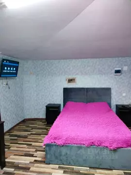 Студия Краснодарский край, Сочи Лысая Гора садоводческое товарищество, ...