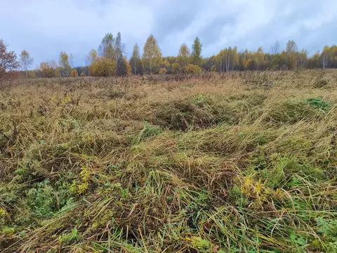 Участок в Московская область, Раменский муниципальный округ, д. ...