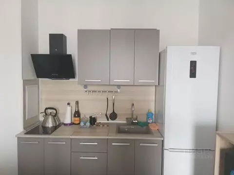 1-к кв. Санкт-Петербург просп. Буденного, 19к2 (35.0 м)