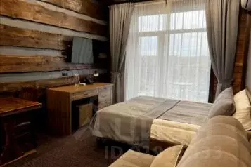 1-к кв. Челябинская область, Миасский городской округ, с. Сыростан ул. ...