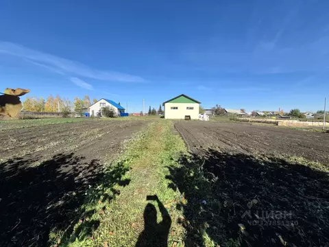 Участок в Алтайский край, Павловский район, с. Шахи  (1531.0 сот.)