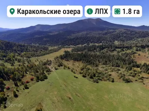 Участок в Алтай, Чемальский район, Элекмонарское с/пос, с. Элекмонар  ...