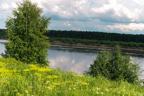 Участок в Коми, Корткеросский район, Приозерный муниципальное ...