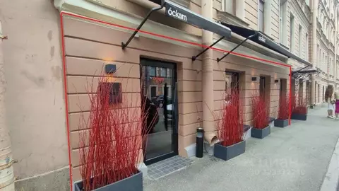 Помещение свободного назначения в Санкт-Петербург Казанская ул., 22 ...