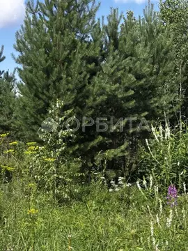 Участок в Свердловская область, Тугулымский муниципальный округ, д. ...