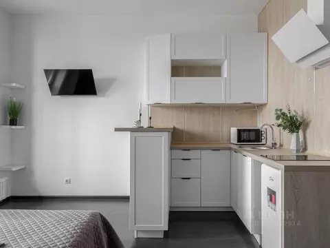 Студия Санкт-Петербург ул. Владимира Пчелинцева, 6к1 (23.7 м)