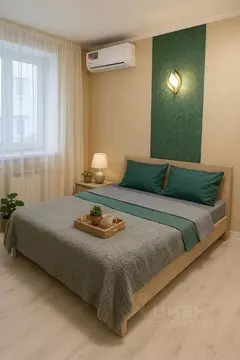 1-к кв. Воронежская область, Воронеж ул. Челюскинцев, 101В (43.0 м)