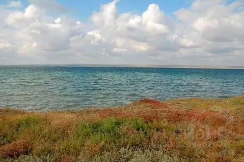 Участок в Крым, Черноморский район, Медведевское с/пос, с. Медведево ...