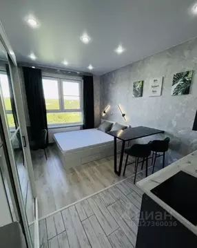 Студия Москва ул. Корнейчука, 27 (23.0 м)