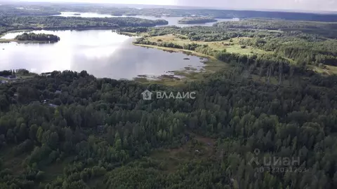 Участок в Карелия, Лахденпохский муниципальный округ, пос. Райвио ул. ...