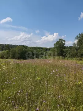Участок в Калужская область, Малоярославецкий район, Недельное с/пос, ...