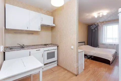 Студия Санкт-Петербург пос. Парголово, Заречная ул., 19к1 (27.2 м)