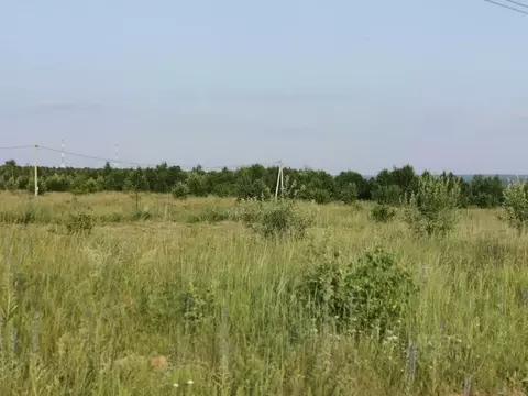 Участок в Калужская область, Тарусский муниципальный округ, Лопатино ...