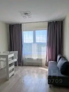 Студия Свердловская область, Екатеринбург ул. Зеленый Остров, 12 (22.0 ...