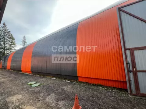 Склад в Московская область, Домодедово Шаховы Сады СНТ,  (1000 м)