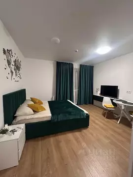 Студия Ленинградская область, Всеволожский район, Заневское городское ...