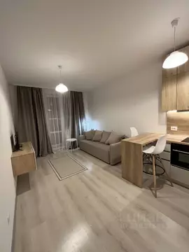 Студия Санкт-Петербург Комендантский просп., 66к3 (25.0 м)