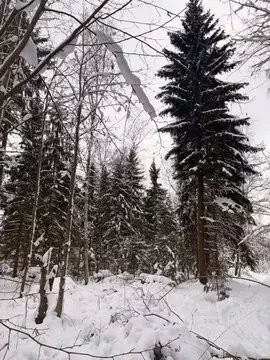 Участок в Московская область, Волоколамский муниципальный округ, ...