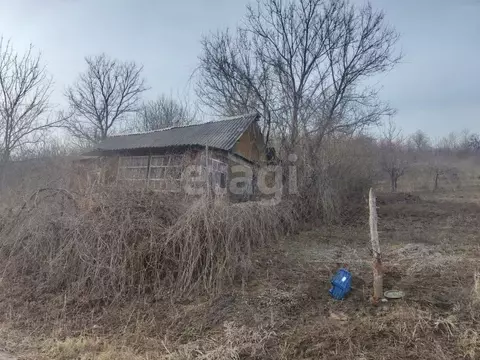 Дом в Воронежская область, Хохольский район, с. Костенки ул. ...