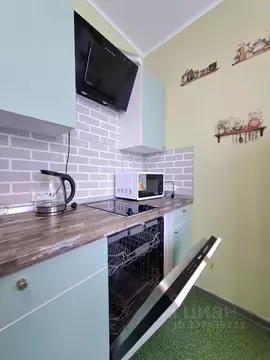 1-к кв. Санкт-Петербург пос. Парголово, ул. Федора Абрамова, 4 (40.0 ...