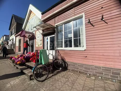 Торговая площадь в Смоленская область, Демидов Советская ул., 11 (298 ...