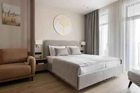 Студия Калининградская область, Светлогорск бул. Морской, 17к6 (46.0 ...