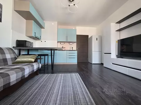 Студия Санкт-Петербург аллея Арцеуловская, 19 (26.0 м)