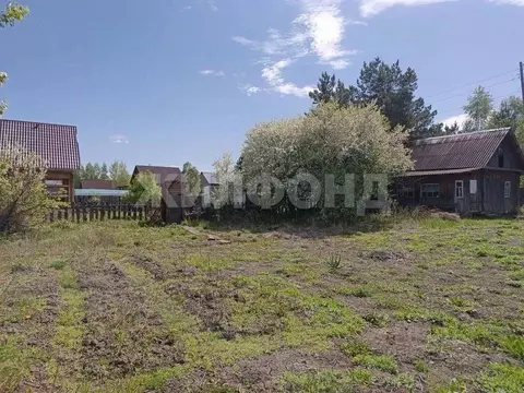 Дом в Хакасия, Абакан Майская ул. (50 м)