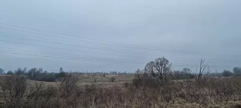 Участок в Тульская область, Тула городской округ, д. Прудное  (888.0 ...