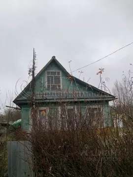 Дом в Ленинградская область, Лодейнопольский район, Алеховщинское ...