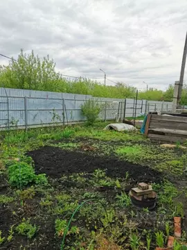Дом в Омская область, Омск Виктория СНТ,  (15 м)