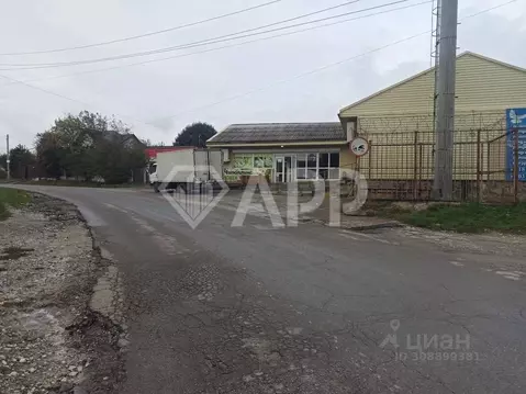 Помещение свободного назначения в Краснодарский край, Новороссийск ...