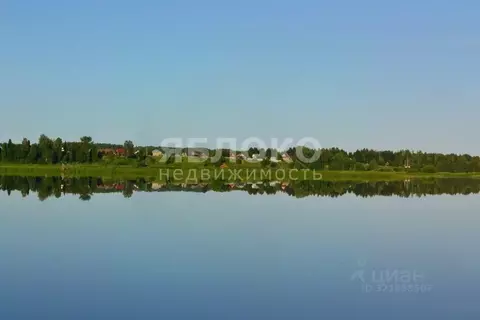 Участок в Пермский край, Березники муниципальный округ, д. Турлавы ул. ...